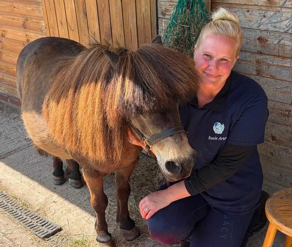 Rosie giving energy healing to a pony